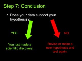 Step 7: Conclusion
• Does your data support your
hypothesis?
You just made a
scientific discovery.
YES
Revise or make a
new hypothesis and
test again.
NO
 