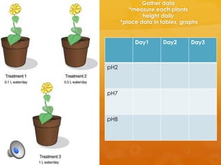 Gather data
*measure each plants
height daily
*place data in tables, graphs
Day1 Day2 Day3
pH2
pH7
pH8
 