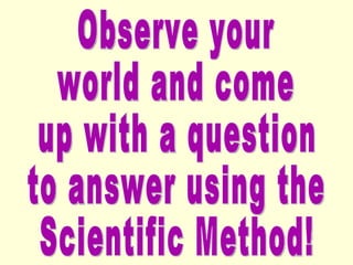 Observe your world and come up with a question  to answer using the Scientific Method! 