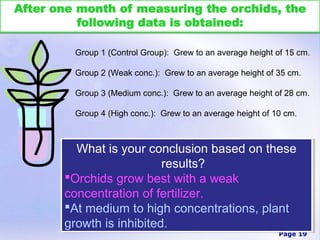 Group 1 (Control Group): Grew to an average height of 15 cm.

 Group 2 (Weak conc.): Grew to an average height of 35 cm.

 Group 3 (Medium conc.): Grew to an average height of 28 cm.

 Group 4 (High conc.): Grew to an average height of 10 cm.



  What is your conclusion based on these
  What is your conclusion based on these
                   results?
                    results?
Orchids grow best with a weak
Orchids grow best with a weak
concentration of fertilizer.
concentration of fertilizer.
At medium to high concentrations, plant
At medium to high concentrations, plant
growth is inhibited.
growth is inhibited.
                                                     Page 19
 