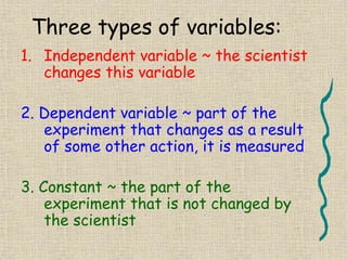 Scientific Method PowerPoint science 7 .pptx