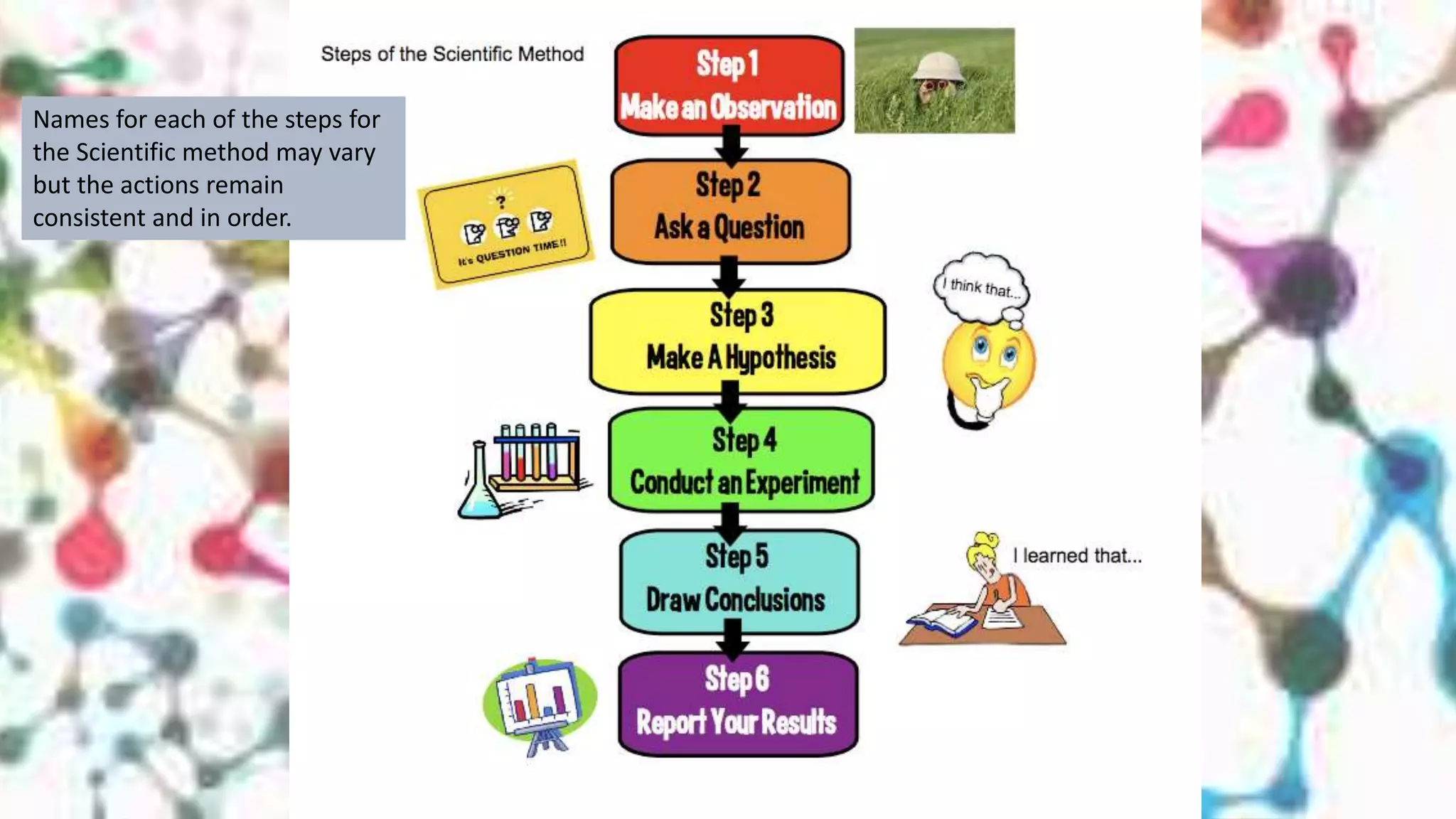 Scientific method ppt | PPTX
