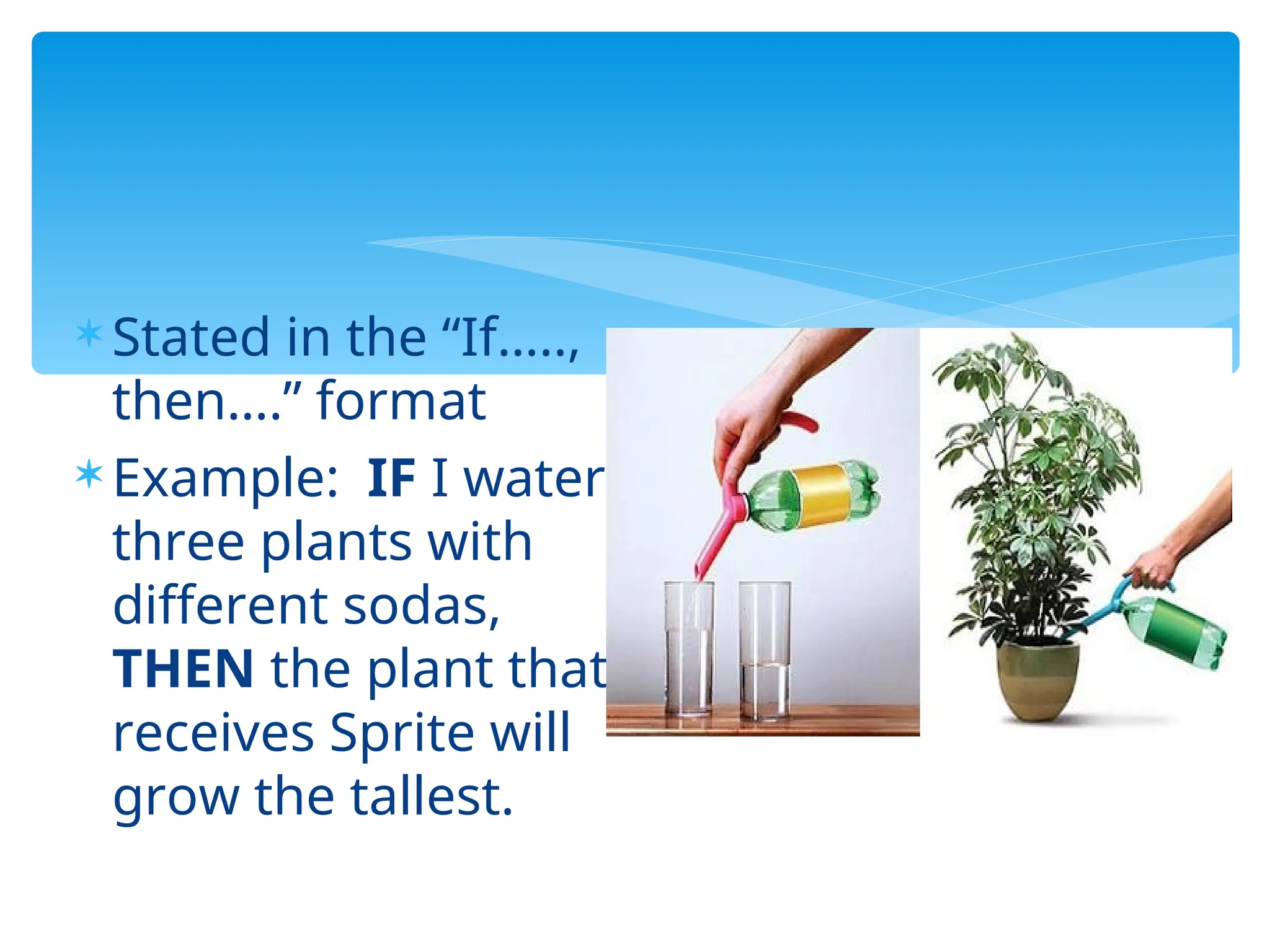  Stated in the “If…..,
then….” format
 Example: IF I water
three plants with
different sodas,
THEN the plant that
receives Sprite will
grow the tallest.
 