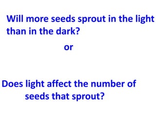 Will more seeds sprout in the light
 than in the dark?
              or


Does light affect the number of
     seeds that sprout?
 