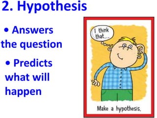 2. Hypothesis
 • Answers
the question
• Predicts
what will
happen
 