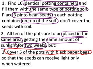 1. Find 10 identical potting containers and
 fill them with the same type of potting soil.
 Place 3 pinto bean seeds in each potting
 container on top of the soil-- don’t cover the
 seeds with soil.
2. All ten of the pots are to be placed in the
same area, getting the same amount of
sunlight for two weeks, but:
 3. Cover 5 of the pots with black paper bags
 so that the seeds can receive light only
 when watered.
 