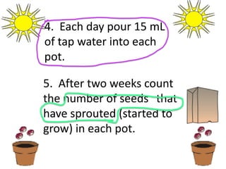 4. Each day pour 15 mL
of tap water into each
pot.

5. After two weeks count
the number of seeds that
have sprouted (started to
grow) in each pot.
 