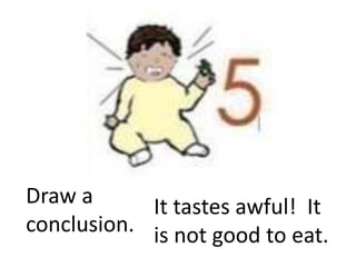 Draw a      It tastes awful! It
conclusion. is not good to eat.
 