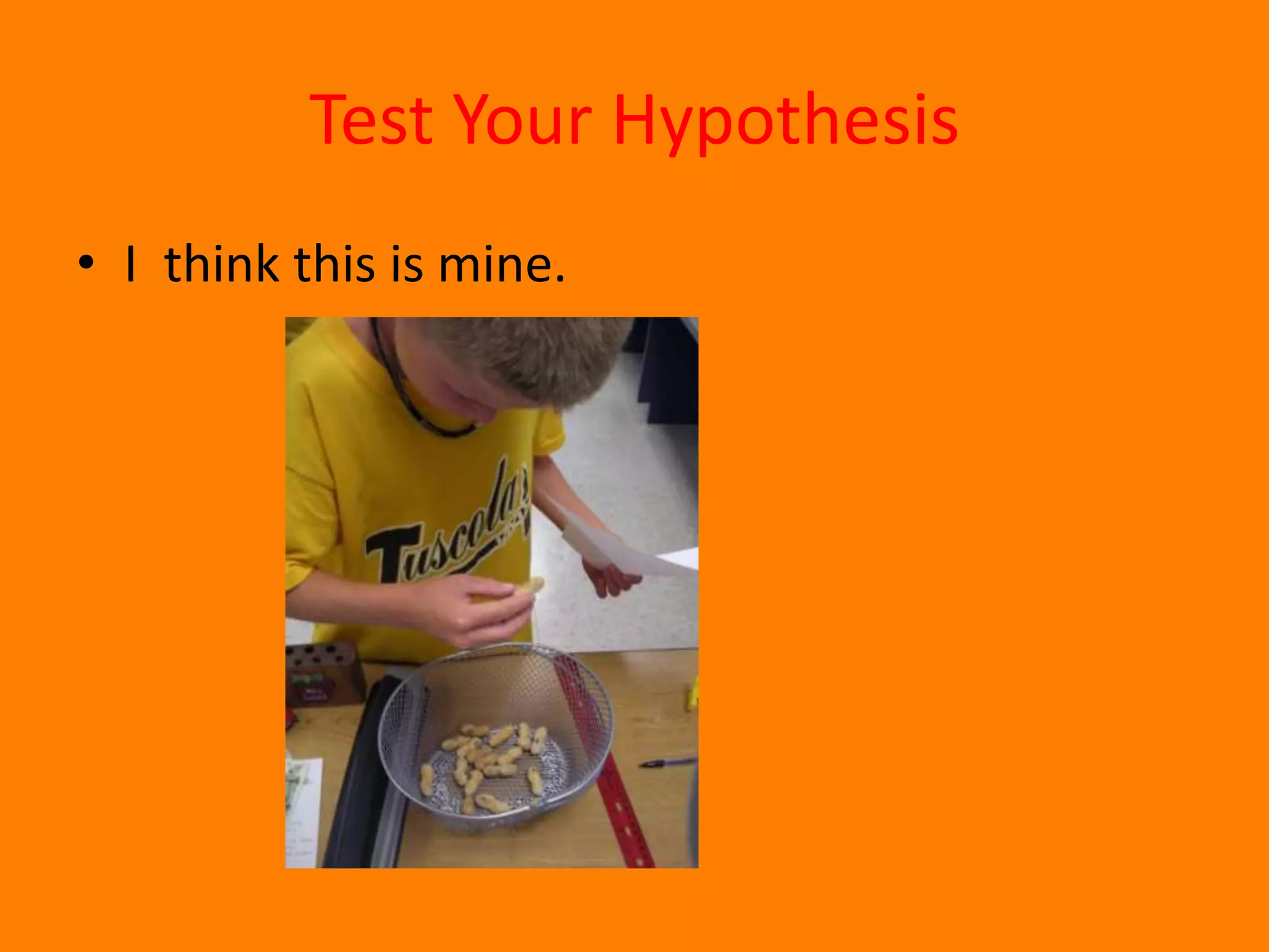 Test Your HypothesisI think this is mine.