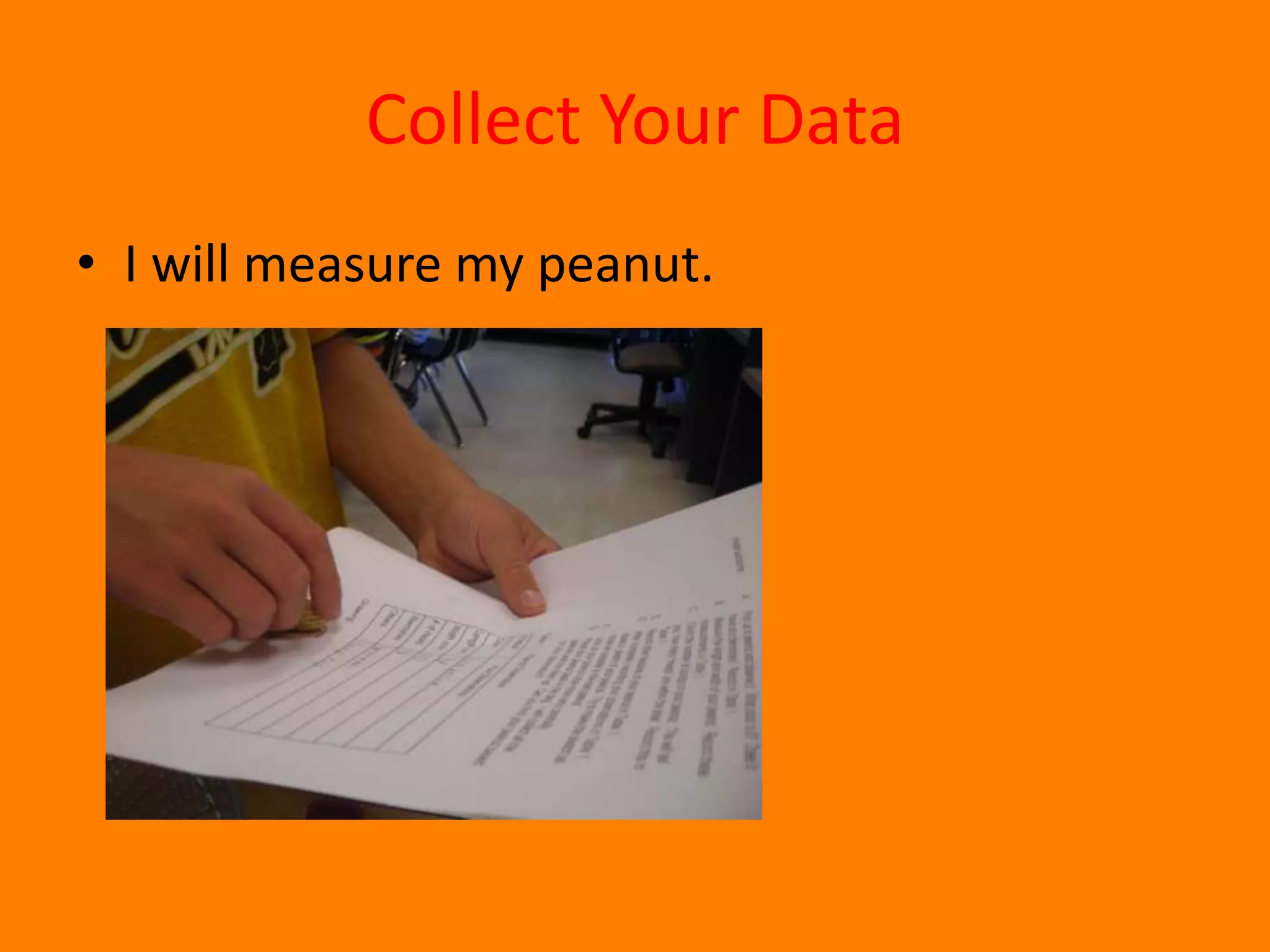 Collect Your DataI will measure my peanut.