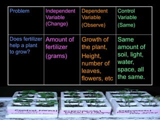 Problem Independent
Variable
(Change)
Dependent
Variable
(Observe)
Control
Variable
(Same)
Does fertilizer
help a plant
to grow?
Amount of
fertilizer
(grams)
Growth of
the plant,
Height,
number of
leaves,
flowers, etc
Same
amount of
soil, light,
water,
space, all
the same.
 