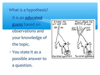 ∗ What is a hypothesis?
∗ It is an educated
guess based on
observations and
your knowledge of
the topic.
∗ You state it as a
possible answer to
a question.
 