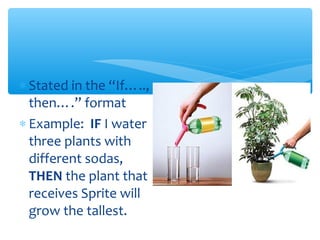 ∗ Stated in the “If…..,
then….” format
∗ Example: IF I water
three plants with
different sodas,
THEN the plant that
receives Sprite will
grow the tallest.
 