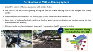 PROBABLE FACTORS FOR DECLINE OF
MITHUN POPULATION IN NAGALAND
 