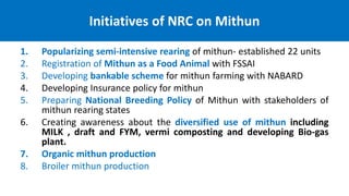 Bursting the myths of Mithun
• Mithun is NOT a Wild/Semi-wild/Semi-domesticated
animal- but is a Domestic animal reared un...