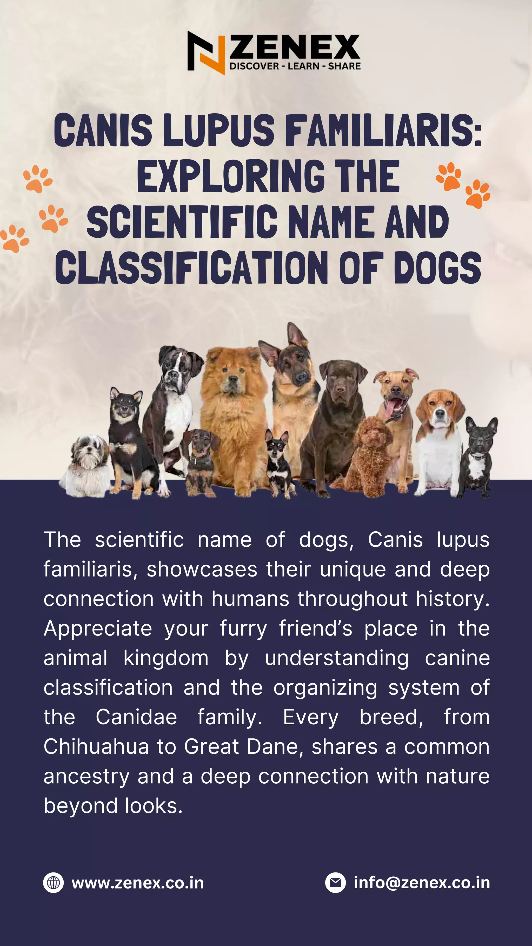 Unveiling The Mystery: The Scientific Name For A Female Canine - dqinad0