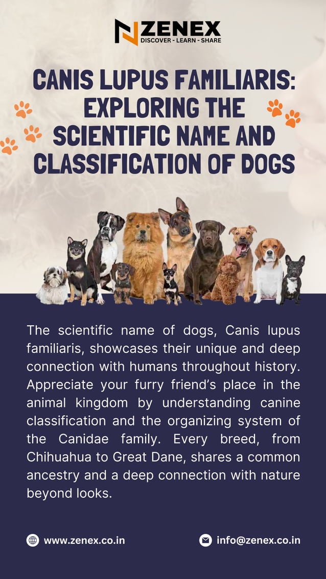Unleash the canine classification discover scientific name of dog pdf