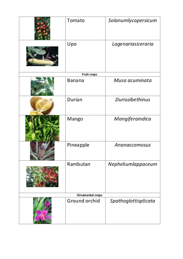 scientific names 6 638