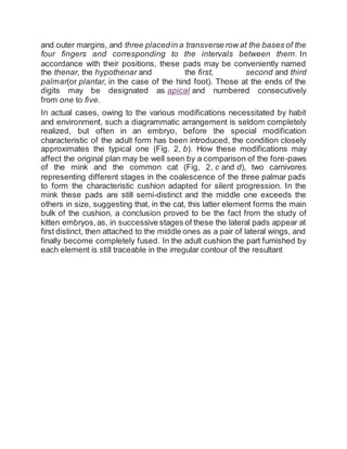 Scientific palmistry | DOCX