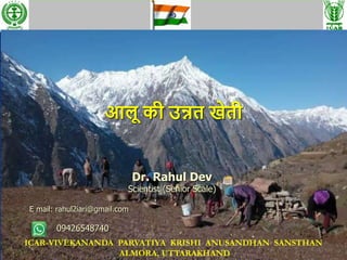 आलू की उन्नत खेती
Dr. Rahul Dev
Scientist (Senior Scale)
E mail: rahul2iari@gmail.com
09426548740
ICAR-VIVEKANANDA PARVATIYA KRISHI ANUSANDHAN SANSTHAN
ALMORA, UTTARAKHAND
 