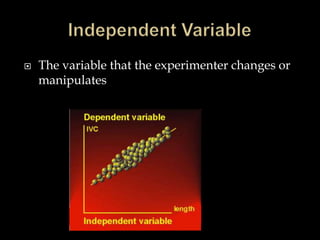 Independent VariableThe variable that the experimenter changes or manipulates