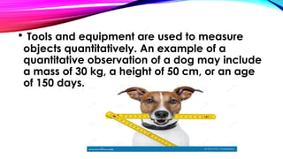 • Tools and equipment are used to measure
objects quantitatively. An example of a
quantitative observation of a dog may include
a mass of 30 kg, a height of 50 cm, or an age
of 150 days.