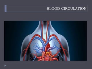 BLOOD CIRCULATION
 