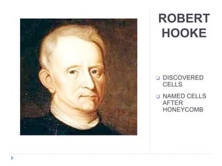 ROBERT
HOOKE
 DISCOVERED
CELLS
 NAMED CELLS
AFTER
HONEYCOMB
 
