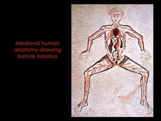 Medieval human 
anatomy drawing 
before Vesalius 
 