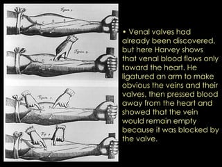• Venal valves had 
already been discovered, 
but here Harvey shows 
that venal blood flows only 
toward the heart. He 
ligatured an arm to make 
obvious the veins and their 
valves, then pressed blood 
away from the heart and 
showed that the vein 
would remain empty 
because it was blocked by 
the valve. 
 