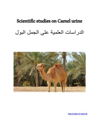 ScientificstudiesonCamelurine
http://caller-to-islam.tk
 