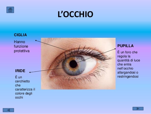 Quanti Fps Vede L Occhio Umano