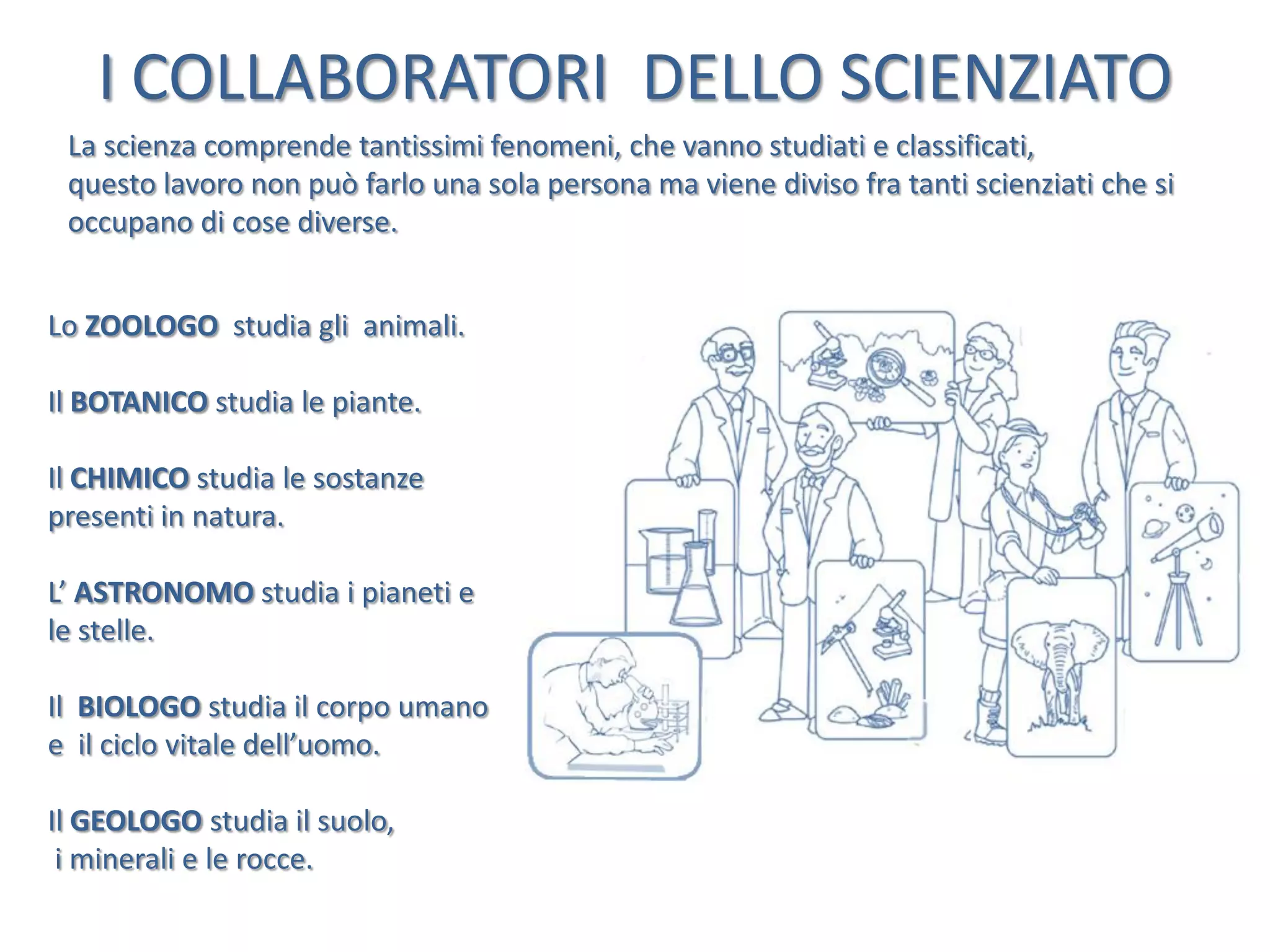 I COLLABORATORI DELLO SCIENZIATO
La scienza comprende tantissimi fenomeni, che vanno studiati e classificati,
questo lavoro non può farlo una sola persona ma viene diviso fra tanti scienziati che si
occupano di cose diverse.
Lo ZOOLOGO studia gli animali.
Il BOTANICO studia le piante.

Il CHIMICO studia le sostanze
presenti in natura.
L’ ASTRONOMO studia i pianeti e
le stelle.
Il BIOLOGO studia il corpo umano
e il ciclo vitale dell’uomo.

Il GEOLOGO studia il suolo,
i minerali e le rocce.

 