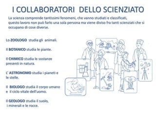 I COLLABORATORI DELLO SCIENZIATO
La scienza comprende tantissimi fenomeni, che vanno studiati e classificati,
questo lavoro non può farlo una sola persona ma viene diviso fra tanti scienziati che si
occupano di cose diverse.
Lo ZOOLOGO studia gli animali.
Il BOTANICO studia le piante.

Il CHIMICO studia le sostanze
presenti in natura.
L’ ASTRONOMO studia i pianeti e
le stelle.
Il BIOLOGO studia il corpo umano
e il ciclo vitale dell’uomo.

Il GEOLOGO studia il suolo,
i minerali e le rocce.

 