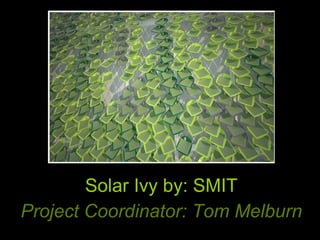 Solar Ivy by: SMIT Project Coordinator: Tom Melburn 