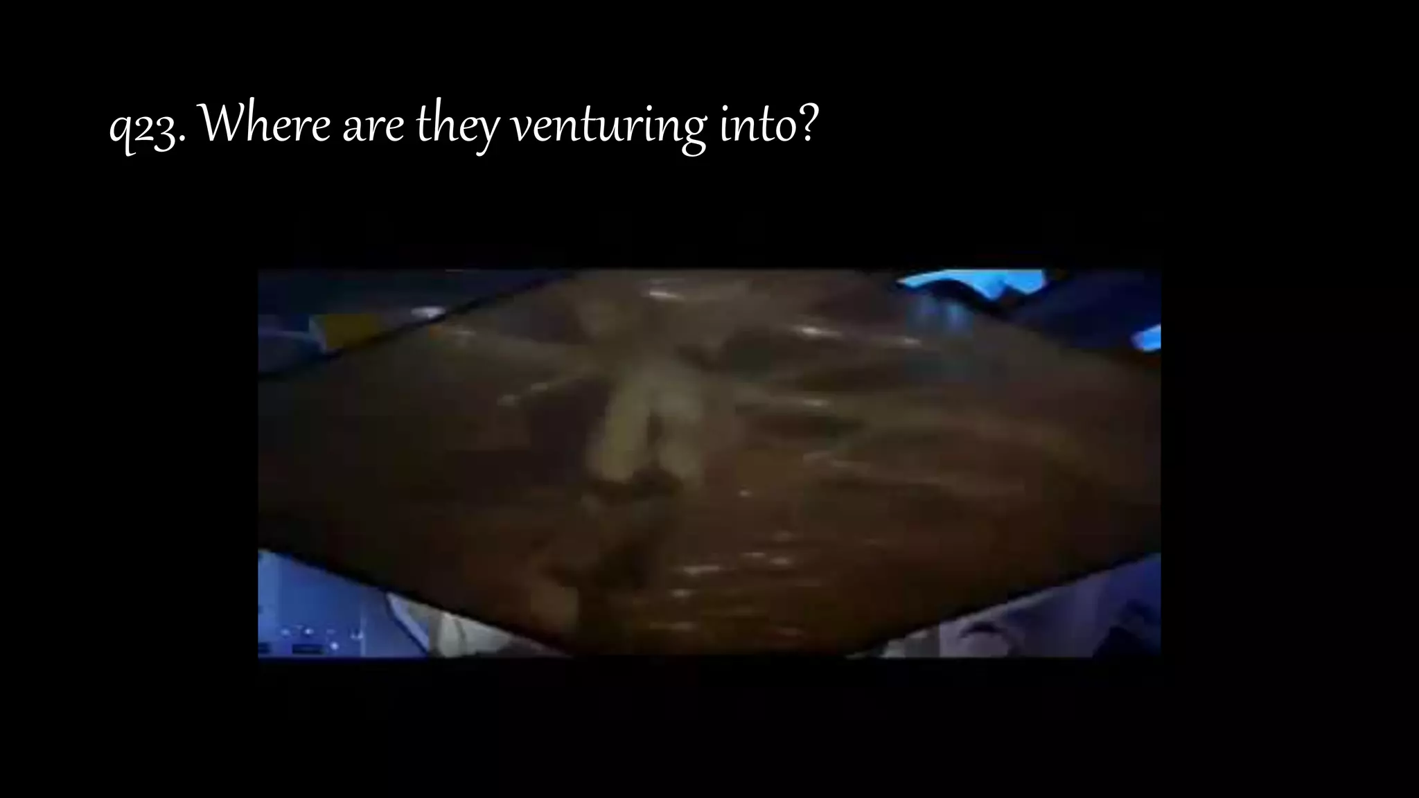 q23. Where are they venturing into?
 