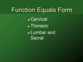 Function Equals Form
      Cervical
      Thoracic

      Lumbar and

       Sacral
 