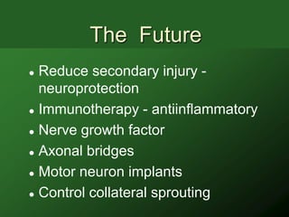 The Future
 Reduce secondary injury -
  neuroprotection
 Immunotherapy - antiinflammatory

 Nerve growth factor

 Axonal bridges

 Motor neuron implants

 Control collateral sprouting
 