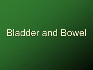 Bladder and Bowel
 