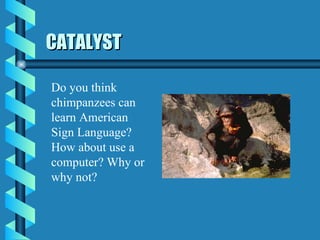 CATALYST Do you think chimpanzees can learn American Sign Language? How about use a computer? Why or why not?  