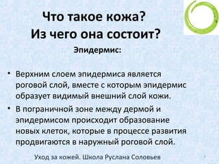 Что такое кожа?
Из чего она состоит?
5
 