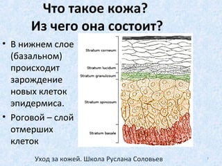 Что такое кожа?
Из чего она состоит?
• Эпидермис
также состоит
из нескольких
слоев кожи:
• Роговой
• Блестящий
• Зернистый
• Шиповатый
• Базальный
7Уход за кожей. Школа Руслана Соловьев
 