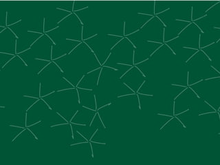 2007 | Sci(bzaar)net 