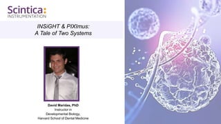 INSiGHT & PIXImus:
A Tale of Two Systems
David Maridas, PhD
Instructor in
Developmental Biology,
Harvard School of Dental Medicine
 