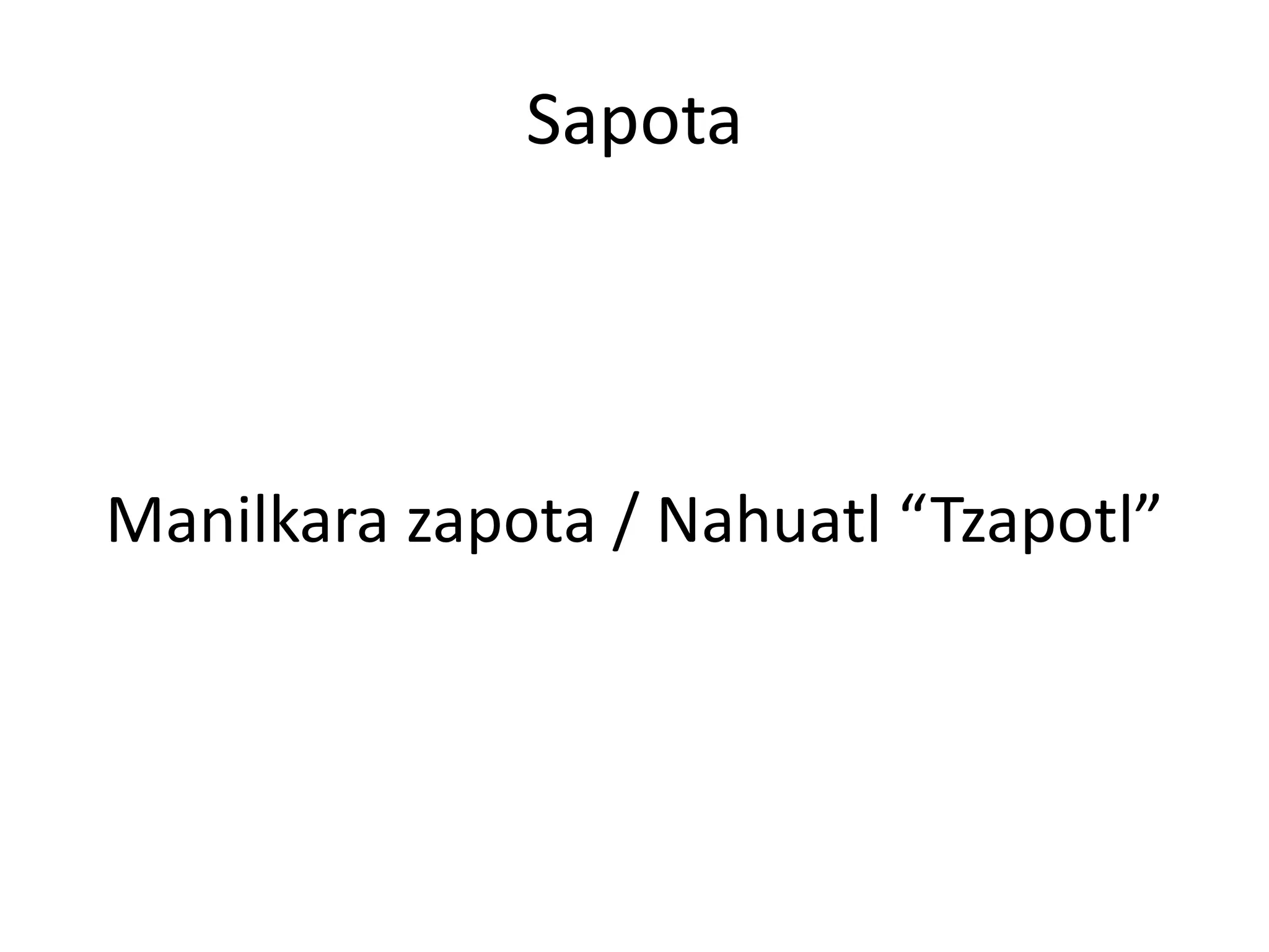 Sapota




Manilkara zapota / Nahuatl “Tzapotl”
 