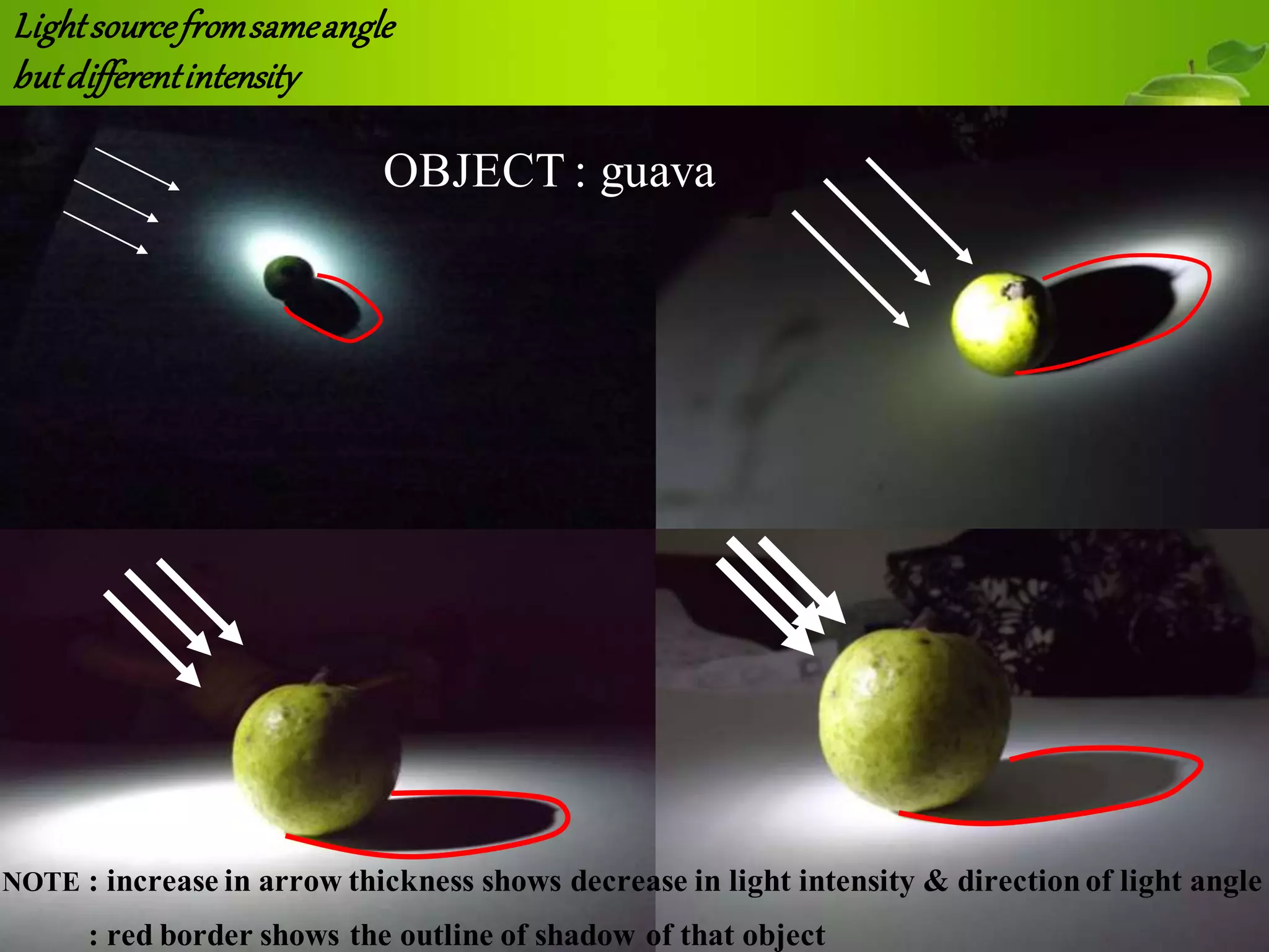 Lightsourcefromsameangle
butdifferentintensity
OBJECT : guava
NOTE : increase in arrow thickness shows decrease in light intensity & directionof light angle
: red border shows the outline of shadow of that object
 