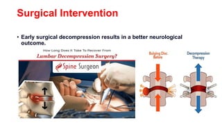 Surgical Intervention
• Early surgical decompression results in a better neurological
outcome.
 