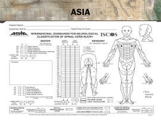 Spinal cord injury | PPT