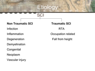 Spinal cord injury | PPT
