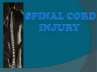           Spinal Cord          injury 